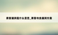 黑客漏洞是什么意思_黑客攻击漏洞方案