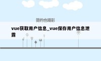 vue获取用户信息_vue保存用户信息泄露