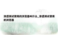 渗透测试使用的浏览器叫什么_渗透测试使用的浏览器