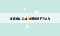 渗透测试 实战_渗透测试学习方向