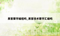 黑客要学编程吗_黑客技术要学汇编吗