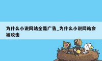 为什么小说网站全是广告_为什么小说网站会被攻击