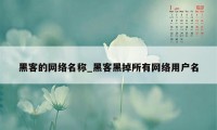 黑客的网络名称_黑客黑掉所有网络用户名