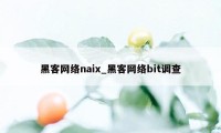 黑客网络naix_黑客网络bit调查