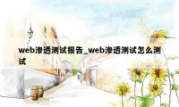 web渗透测试报告_web渗透测试怎么测试