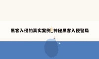 黑客入侵的真实案例_神秘黑客入侵警局