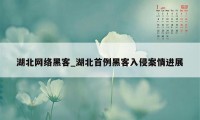 湖北网络黑客_湖北首例黑客入侵案情进展