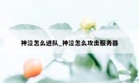 神泣怎么进队_神泣怎么攻击服务器