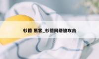 杉德 黑客_杉德网络被攻击