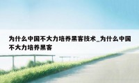 为什么中国不大力培养黑客技术_为什么中国不大力培养黑客