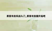 黑客攻击实战入门_黑客攻击图片贴吧