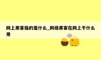 网上黑客指的是什么_网络黑客在网上干什么用