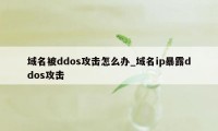 域名被ddos攻击怎么办_域名ip暴露ddos攻击