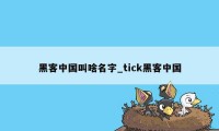 黑客中国叫啥名字_tick黑客中国