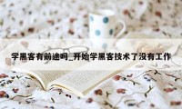 学黑客有前途吗_开始学黑客技术了没有工作