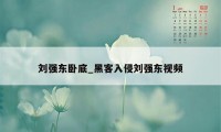 刘强东卧底_黑客入侵刘强东视频