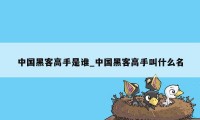 中国黑客高手是谁_中国黑客高手叫什么名