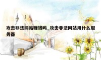 攻击非法网站赚钱吗_攻击非法网站用什么服务器