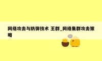 网络攻击与防御技术 王群_网络集群攻击策略