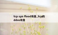 tcp syn flood攻击_tcp的ddos攻击