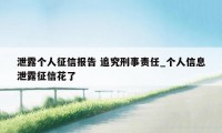 泄露个人征信报告 追究刑事责任_个人信息泄露征信花了