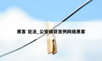 黑客 犯法_公安破获首例网络黑客