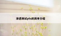 渗透测试pts的简单介绍