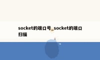 socket的端口号_socket的端口扫描