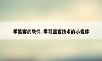 学黑客的软件_学习黑客技术的小程序