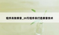 程序员做黑客_20万程序员打造黑客技术