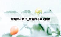 黑客技术知识_黑客技术学习图片