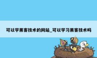 可以学黑客技术的网站_可以学习黑客技术吗