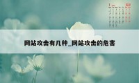 网站攻击有几种_网站攻击的危害