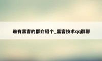 谁有黑客的群介绍个_黑客技术qq群聊