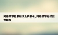 网络黑客犯罪所涉及的罪名_网络黑客组织案例图片