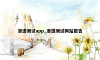 渗透测试app_渗透测试网站报告