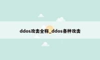 ddos攻击全称_ddos各种攻击