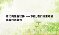 看门狗黑客软件ccos下载_看门狗里谁的黑客技术最强