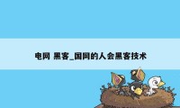 电网 黑客_国网的人会黑客技术