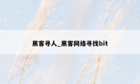 黑客寻人_黑客网络寻找bit