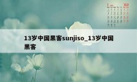 13岁中国黑客sunjiso_13岁中国黑客