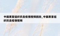 中国黑客组织抗击疫情视频回放_中国黑客组织抗击疫情视频