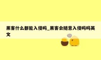 黑客什么都能入侵吗_黑客会随意入侵吗吗英文