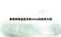 黑客网络迷宫没有minx的简单介绍