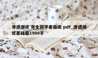 渗透测试 完全初学者指南 pdf_渗透测试基础篇1900字