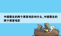 中国著名的两个黑客电影叫什么_中国著名的两个黑客电影