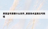 黑客盗号需要什么软件_黑客技术盗奥拉号教程